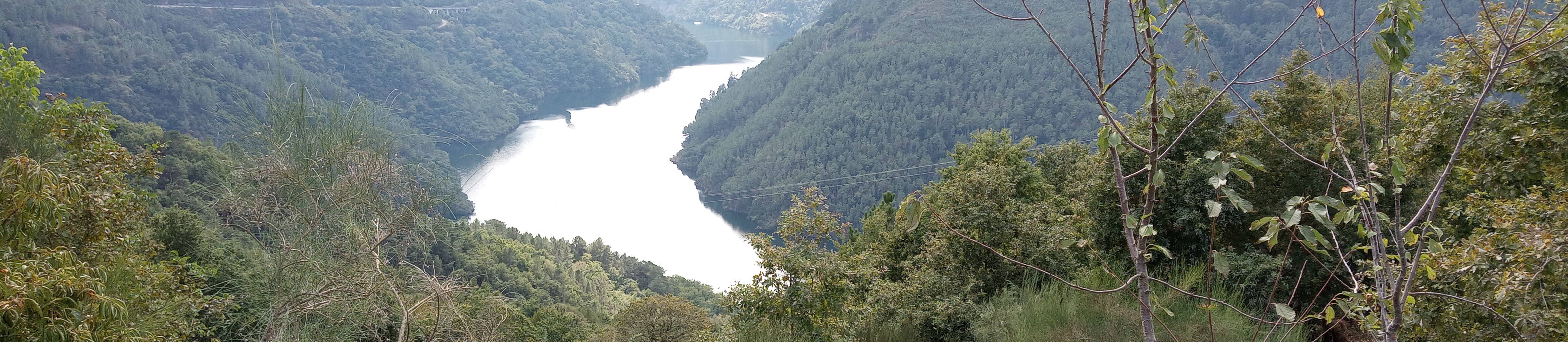 AVAZ